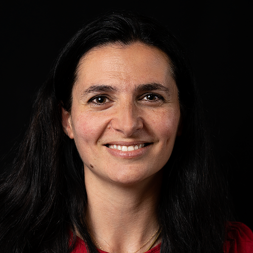 Andreia de Castro Rodrigues