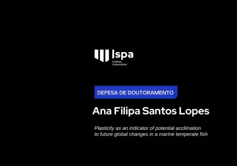 Defesa de Doutoramento – Ana Filipa Lopes