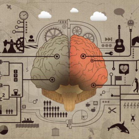 bolsa psicologia doutoramento
