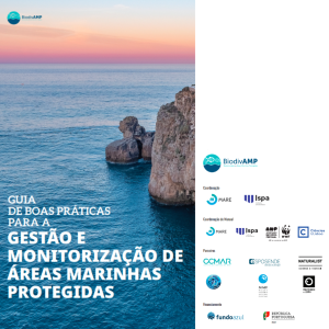Ispa e MARE lançam Guia de Boas Práticas para a Gestão e Monitorização de Áreas Marinhas Protegidas em formato digital