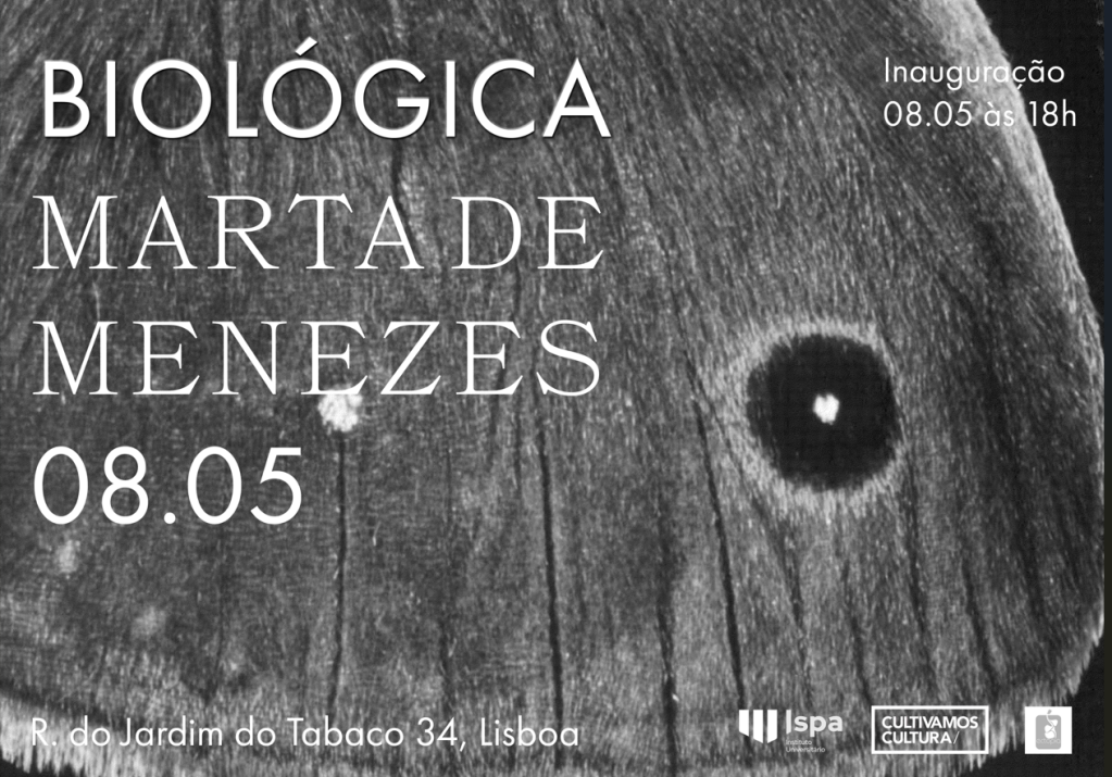 EXPOSIÇÃO | “Biológica” de Marta de Menezes inaugura na Galeria Malangatana