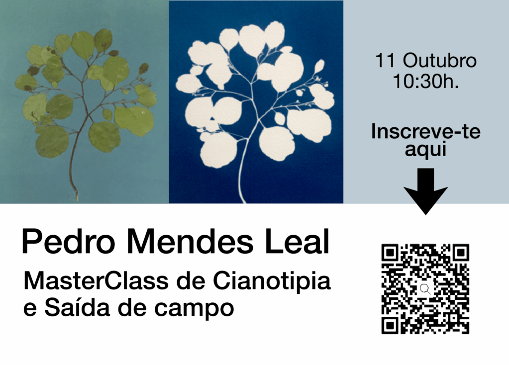 Masterclass de Cianotipia com Pedro Mendes Leal na Praia das Avencas